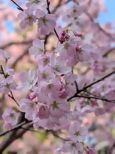 神明氷川神社(東京都)