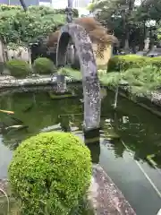 宝泰寺の庭園