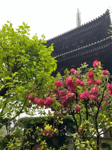 當麻寺西南院(奈良県)
