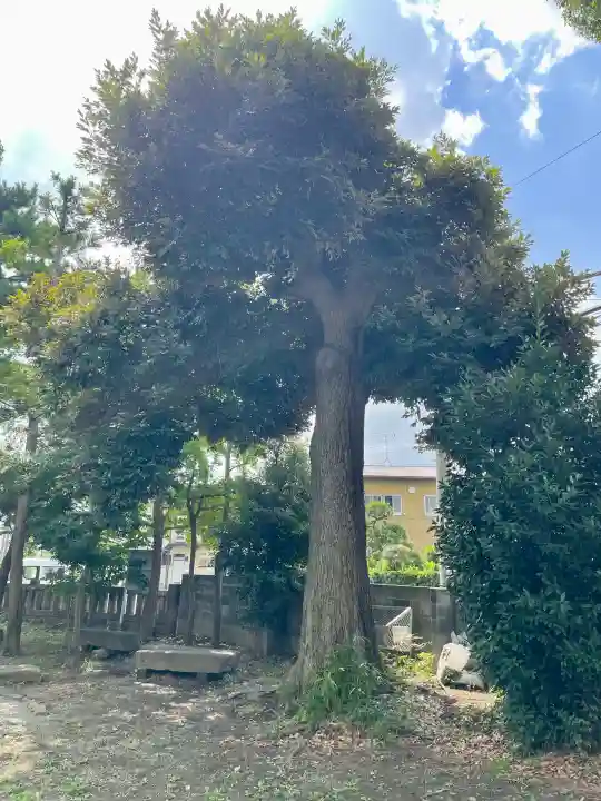神明神社(神奈川県)