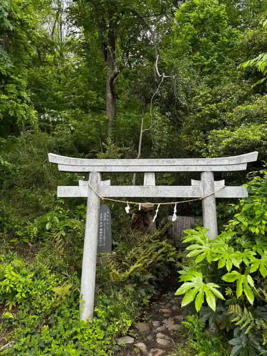 浅間山の{uncategorized: "未分類", other: "その他", undefined: "問題あり", building: "その他建物", grave: "お墓", sacred_gate: "鳥居", guardian: "狛犬", statue: "像", buddha: "仏像", history: "歴史", nature: "自然", garden: "庭園", animal: "動物", pagoda: "塔", temizu: "手水舎", mountain_gate: "山門・神門", sanctuary: "本殿・本堂", subordinate: "末社・摂社", art: "芸術", scenery: "景色", jizo: "地蔵", ema: "絵馬", goshuin: "御朱印", omikuji: "おみくじ", items: "授与品その他", amulet: "お守り", goshuincho: "御朱印帳", eats: "食事", festival: "お祭り", votive_dance: "神楽", shichigosan: "七五三参", wedding: "結婚式", experience: "体験その他", initially: "初詣", around: "周辺", anti_infection: "感染症対策"}