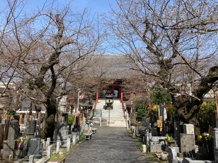 浄心寺(東京都)