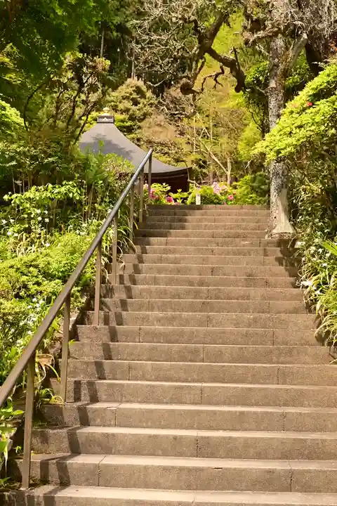 法雲寺(埼玉県)