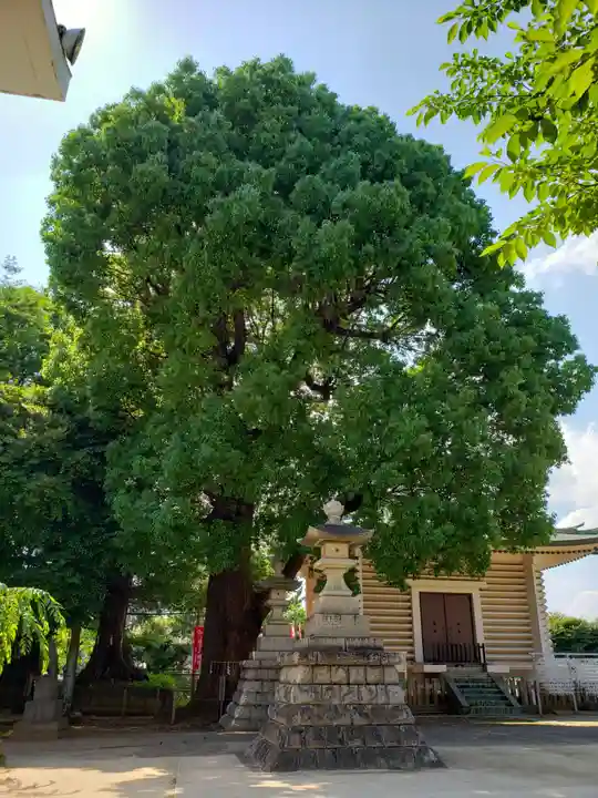 諏訪神社のその他建物