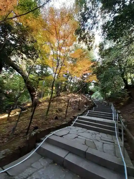 知恩院(京都府)