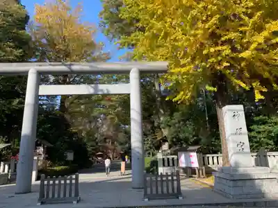 阿佐ヶ谷神明宮の鳥居