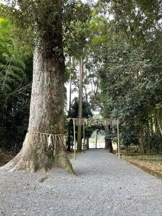 大己貴神社の庭園