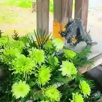 彌彦神社 (伊夜日子神社)の手水舎
