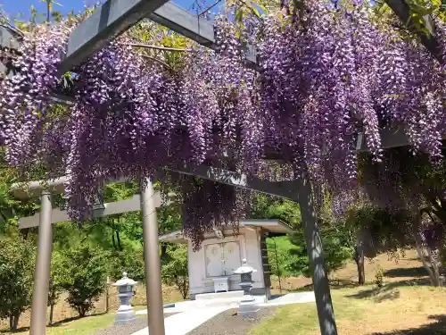 金蛇水神社の{uncategorized: "未分類", other: "その他", undefined: "問題あり", building: "その他建物", grave: "お墓", sacred_gate: "鳥居", guardian: "狛犬", statue: "像", buddha: "仏像", history: "歴史", nature: "自然", garden: "庭園", animal: "動物", pagoda: "塔", temizu: "手水舎", mountain_gate: "山門・神門", sanctuary: "本殿・本堂", subordinate: "末社・摂社", art: "芸術", scenery: "景色", jizo: "地蔵", ema: "絵馬", goshuin: "御朱印", omikuji: "おみくじ", items: "授与品その他", amulet: "お守り", goshuincho: "御朱印帳", eats: "食事", festival: "お祭り", votive_dance: "神楽", shichigosan: "七五三参", wedding: "結婚式", experience: "体験その他", initially: "初詣", around: "周辺", anti_infection: "感染症対策"}