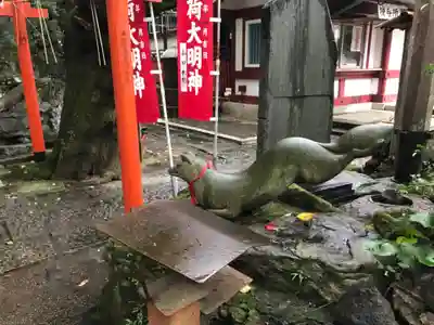 水稲荷神社の狛犬