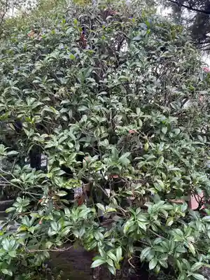 伊勢の国 四天王寺(三重県)