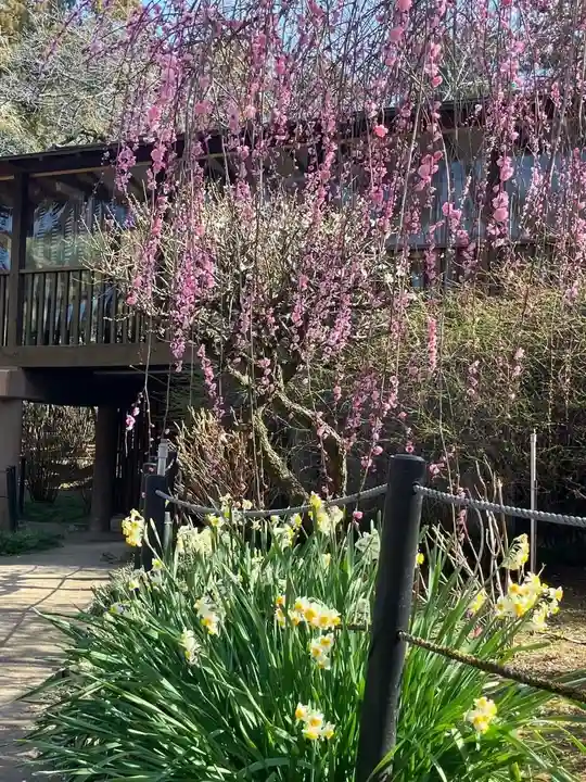 本土寺(千葉県)