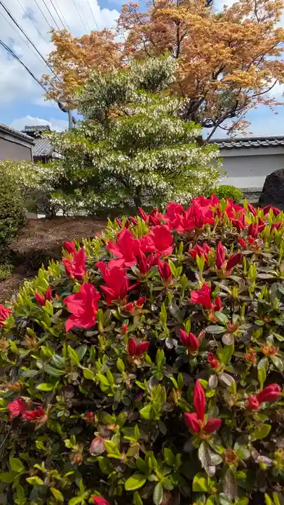 圓光寺(京都府)