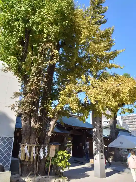 櫛田神社の自然