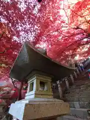 大山寺(神奈川県)