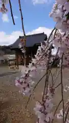 天満宮の自然