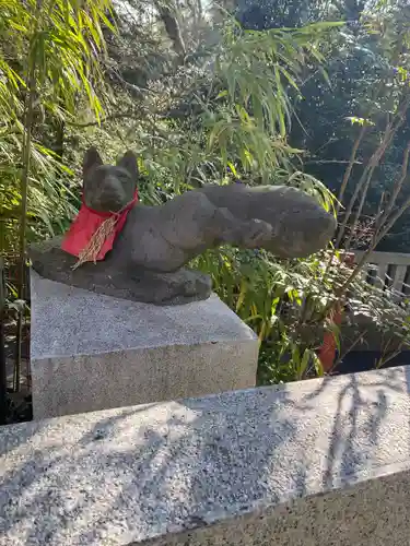 白笹稲荷神社の狛犬