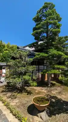 東林院(京都府)