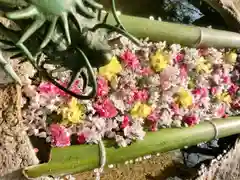 立志神社(滋賀県)