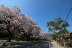 宝登山神社の建物その他