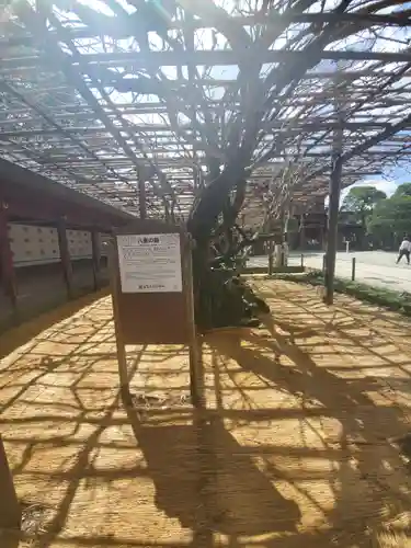 笠間稲荷神社の庭園