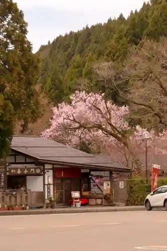 白山比咩神社の自然