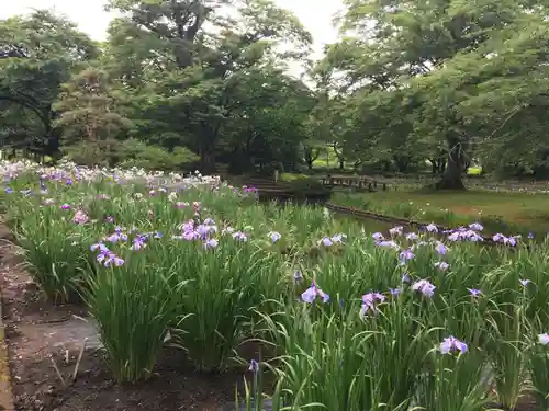 伊佐須美神社の自然