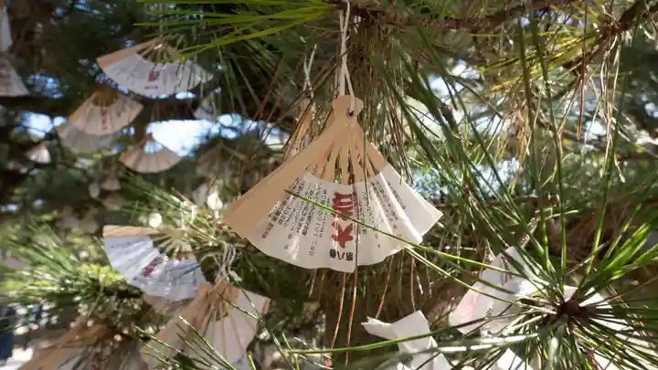智恩寺(京都府)