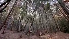 竜王神社(京都府)