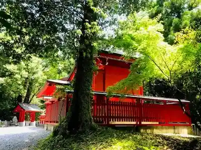 椎葉厳島神社の本殿