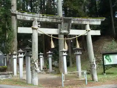 春日神社の鳥居