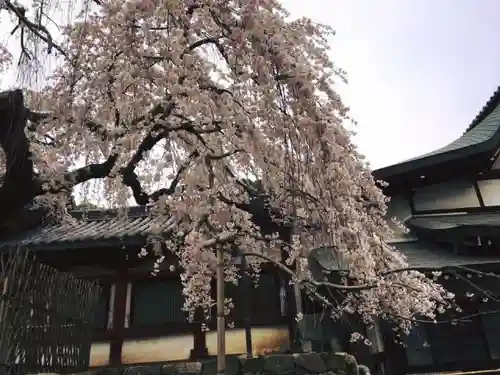 氷室神社の庭園