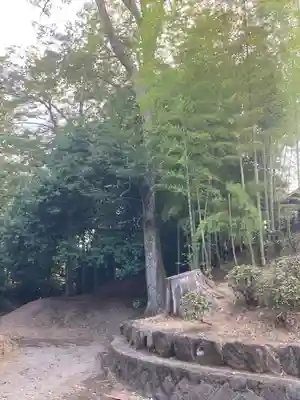 喜多院(埼玉県)