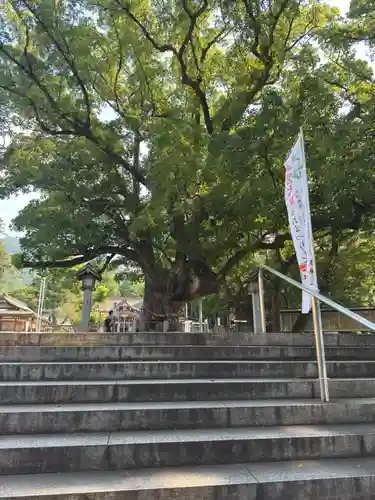 大麻比古神社(徳島県)