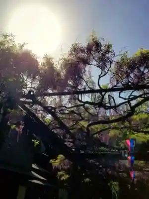 國領神社(東京都)