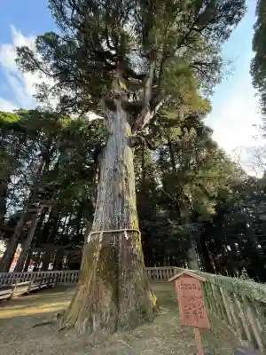 霧島神宮(鹿児島県)