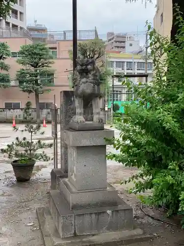 今戸神社の狛犬