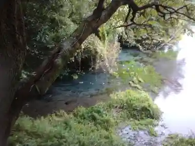 貴船神社(静岡県)