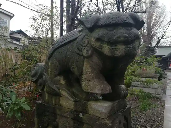 菊田神社の狛犬