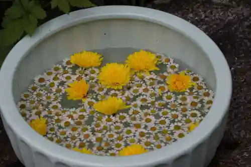 開成山大神宮の手水舎