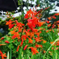 豊景神社の自然