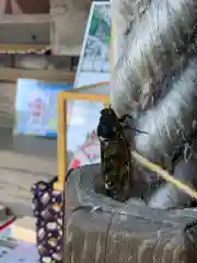 高司神社〜むすびの神の鎮まる社〜の動物