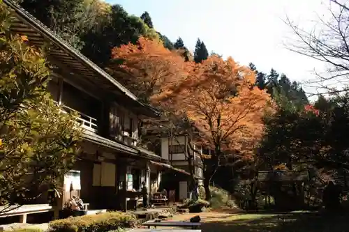 志明院（金光峯寺）の自然