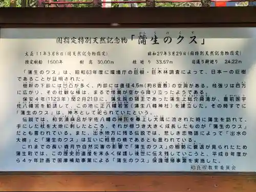 蒲生八幡神社のその他建物