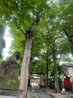 田無神社(東京都)