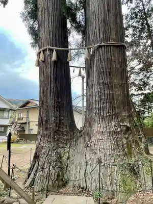 日枝神社(静岡県)