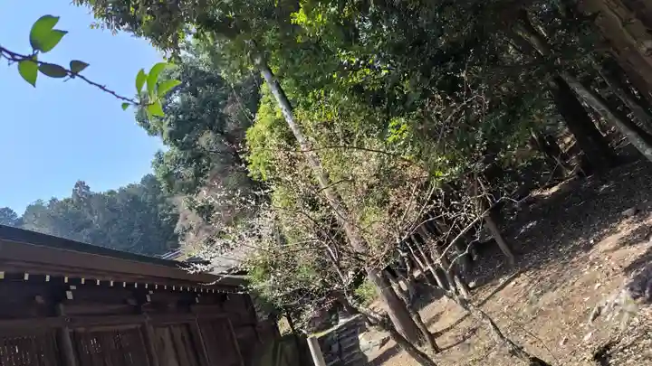 近江神宮(滋賀県)