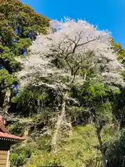 風巻神社の自然