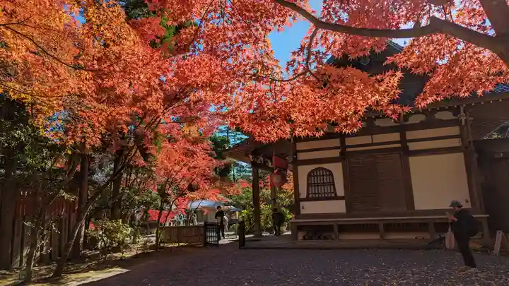 赤山禅院(京都府)