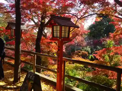 明王院（満願寺別院）の自然
